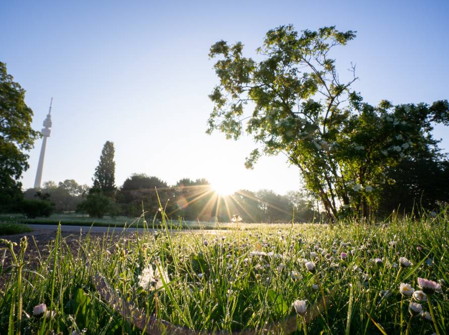 Westfalenpark