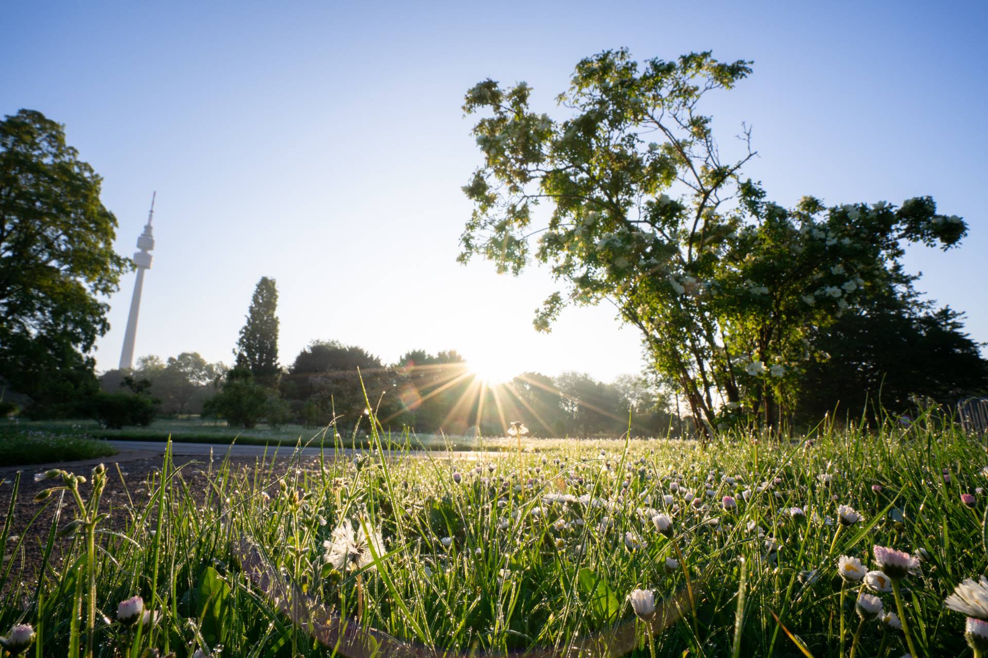 Westfalenpark